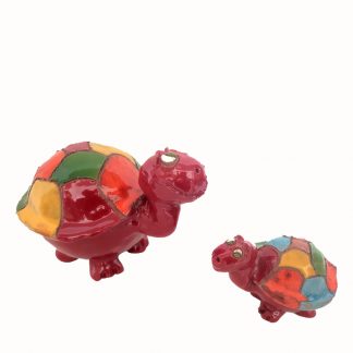 Mediterranean turtle