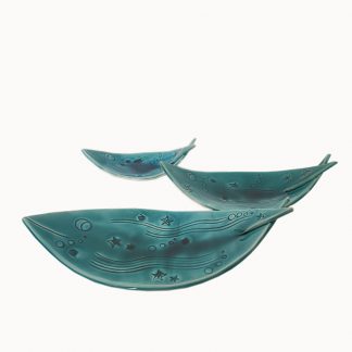 overseas fish collection